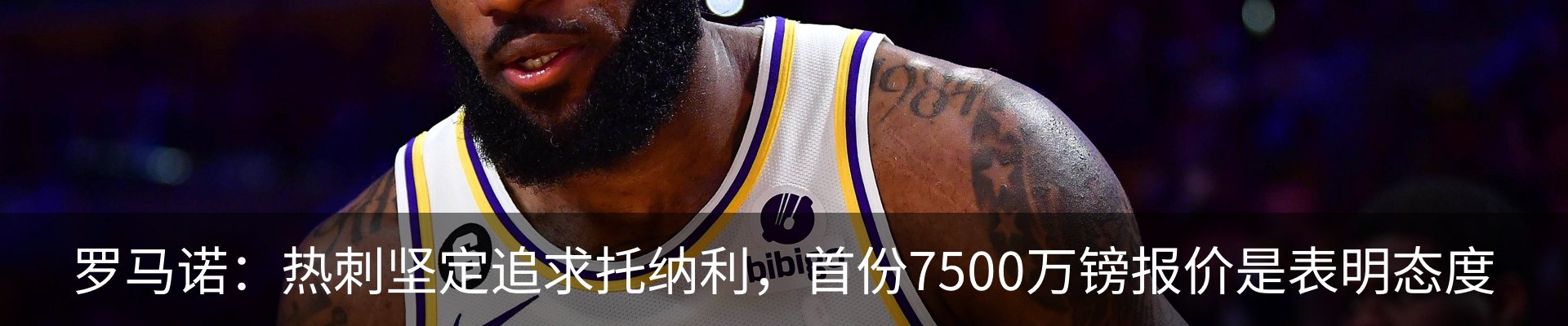 最新动态